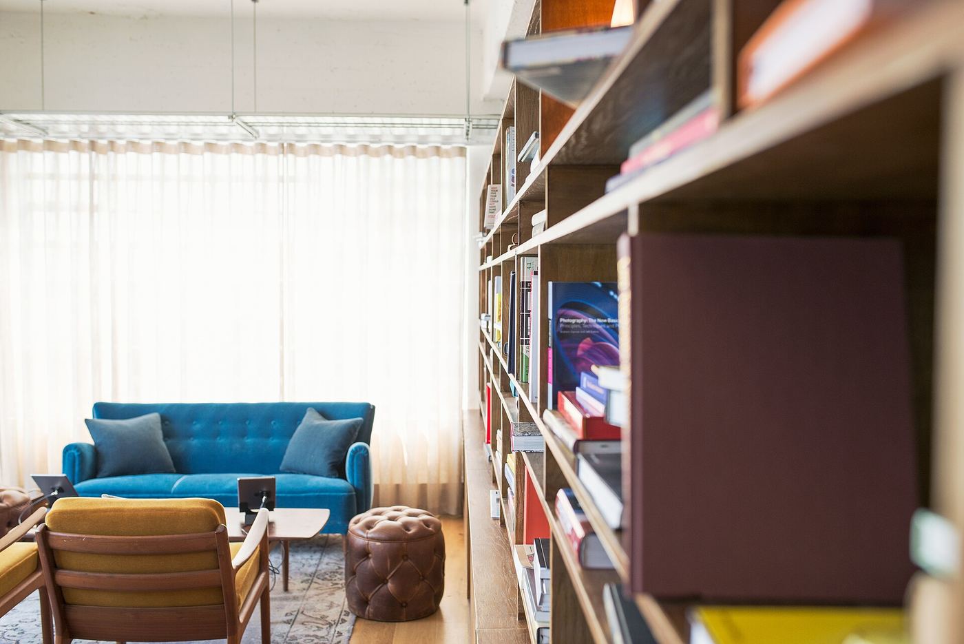 Living room with a full wall bookshelf and blue sofa